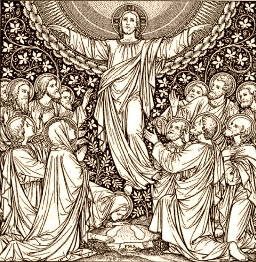 Card image cap
